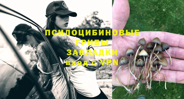 ешки Алексин