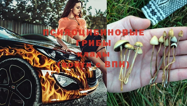 спиды Алексеевка