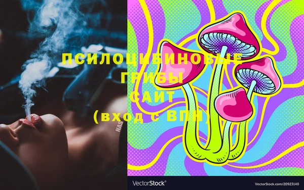 дурь Абаза