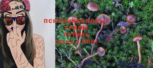 дурь Абаза
